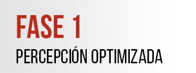 Fase 1: Percepción Optimizada